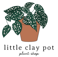 little clay pot