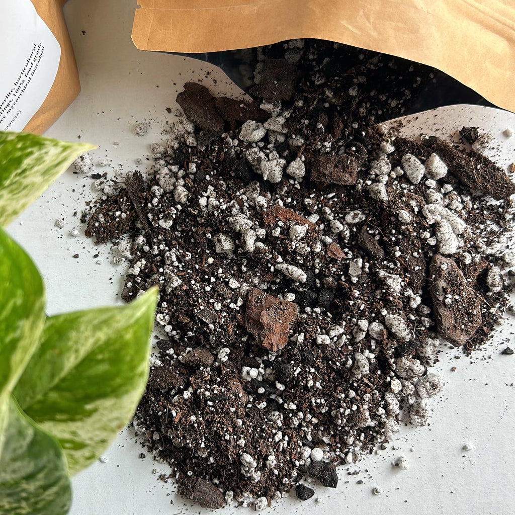 soilless potting mix Chunky Soilless Potting Medium (2.5 lbs) – little clay pot