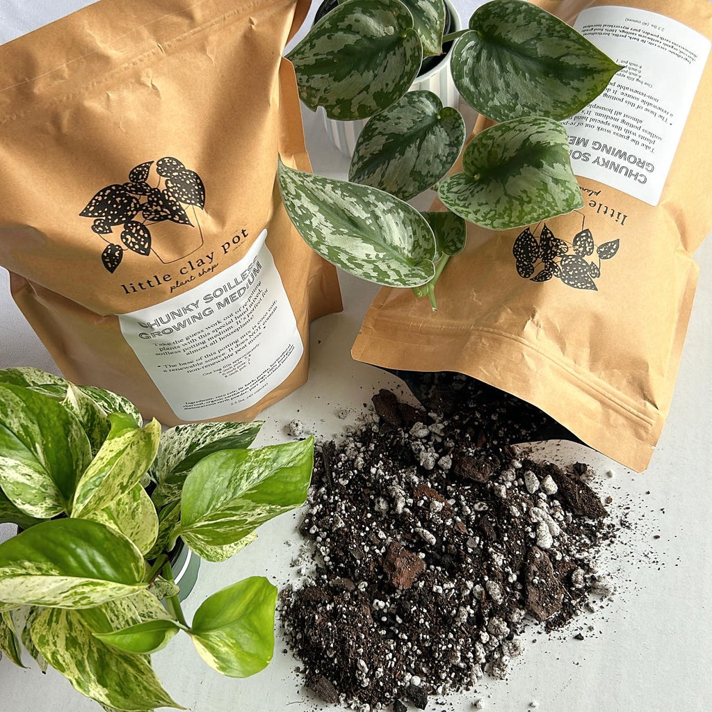 where to buy soilless potting mix Chunky Soilless Potting Medium (2.5 lbs) – little clay pot